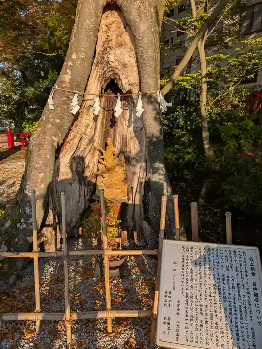 秩父今宮神社(埼玉県)