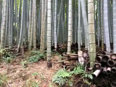 武雄神社(佐賀県)