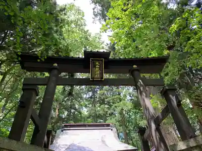 大山祇神社の鳥居