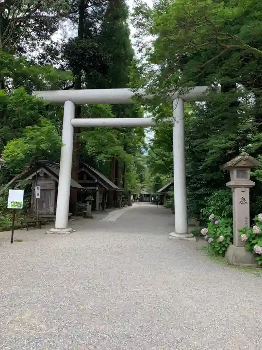 天岩戸神社の鳥居
