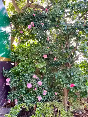 古地老稲荷神社(東京都)