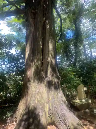 岡部春日神社～👹鬼門よけの🌺花咲く🌺やしろ～(福島県)