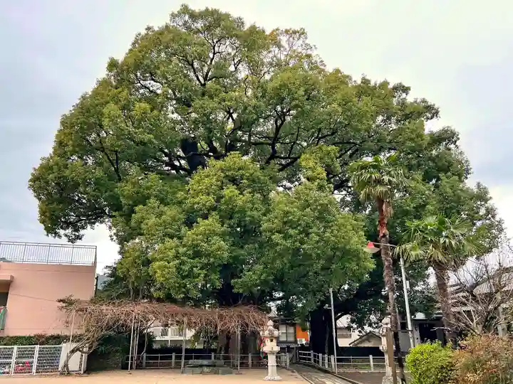 山王神社の自然