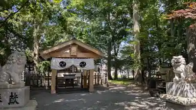 八幡愛宕神社（旭川神社）の本殿・本堂