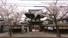 正興寺の山門