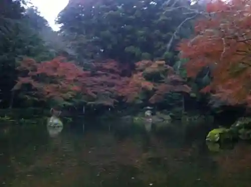 成田山新勝寺の自然