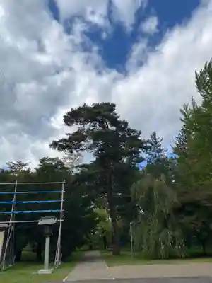 青森縣護國神社のその他建物