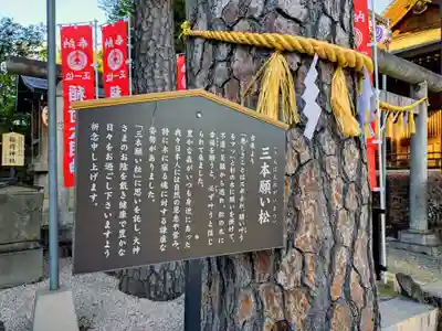 中野沼袋氷川神社(東京都)