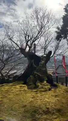 慈恩寺阿弥陀堂(奈良県)