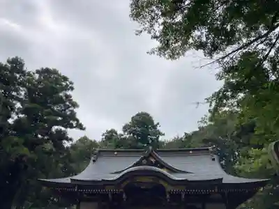 八龍神社(茨城県)