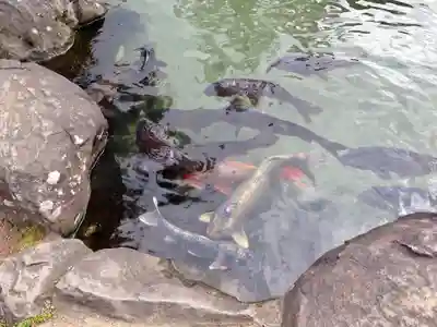 甲斐善光寺(山梨県)