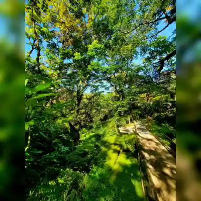 日光二荒山神社(栃木県)