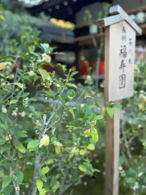 賀茂御祖神社（下鴨神社）(京都府)