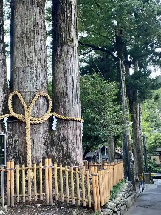 奥氷川神社の御朱印