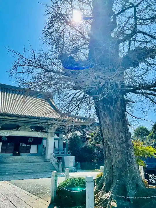 神崎寺(開運水戸不動尊)の{uncategorized: "未分類", other: "その他", undefined: "問題あり", building: "その他建物", grave: "お墓", sacred_gate: "鳥居", guardian: "狛犬", statue: "像", buddha: "仏像", history: "歴史", nature: "自然", garden: "庭園", animal: "動物", pagoda: "塔", temizu: "手水舎", mountain_gate: "山門・神門", sanctuary: "本殿・本堂", subordinate: "末社・摂社", art: "芸術", scenery: "景色", jizo: "地蔵", ema: "絵馬", goshuin: "御朱印", omikuji: "おみくじ", items: "授与品その他", amulet: "お守り", goshuincho: "御朱印帳", eats: "食事", festival: "お祭り", votive_dance: "神楽", shichigosan: "七五三参", wedding: "結婚式", experience: "体験その他", initially: "初詣", around: "周辺", anti_infection: "感染症対策"}