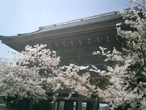 光明寺のその他建物