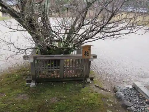 大覚寺(京都府)