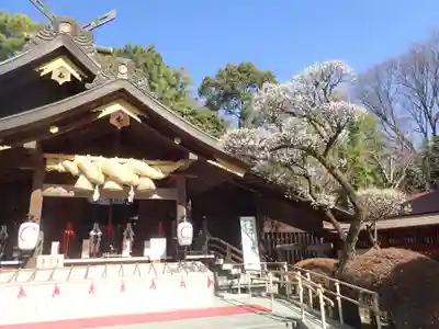 出雲大社相模分祠の御朱印