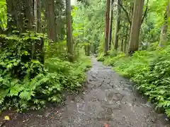 戸隠神社奥社(長野県)