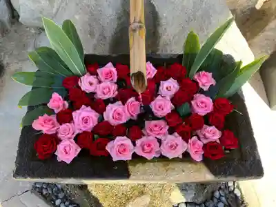 差出磯大嶽山神社 仕事と健康と厄よけの神さまの手水舎