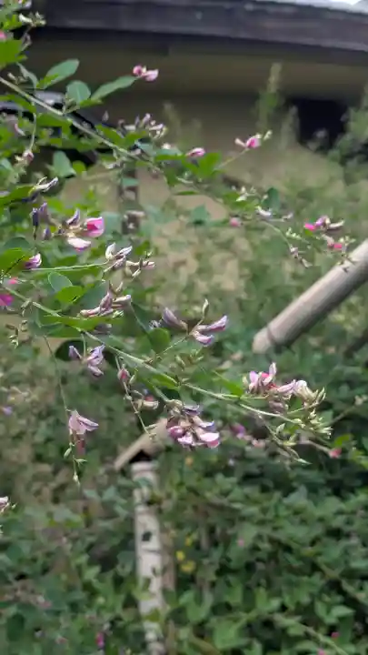 梨木神社(京都府)