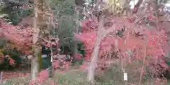 賀茂御祖神社（下鴨神社）(京都府)