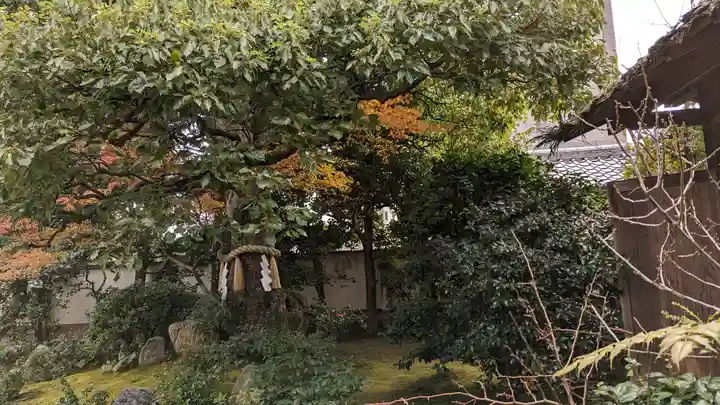 慈受院門跡(京都府)