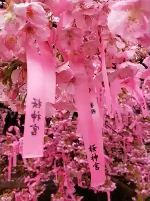 桜神宮(東京都)