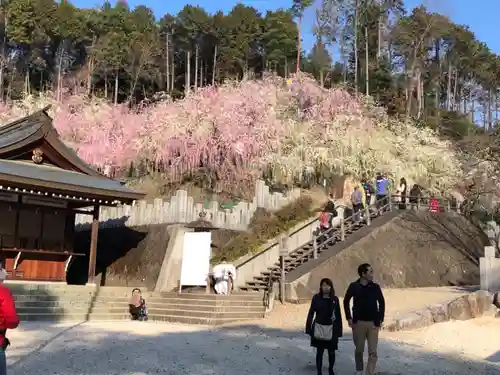 大縣神社の庭園