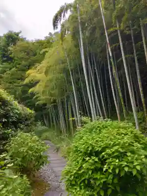 長壽寺（長寿寺）(神奈川県)