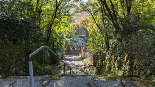 金蔵寺(京都府)