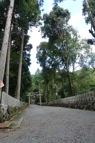 崇道神社の鳥居