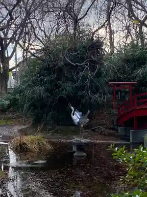 八幡神社(秋田県)