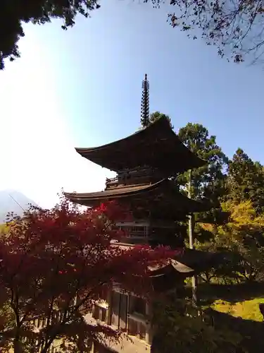 国宝 大法寺の塔