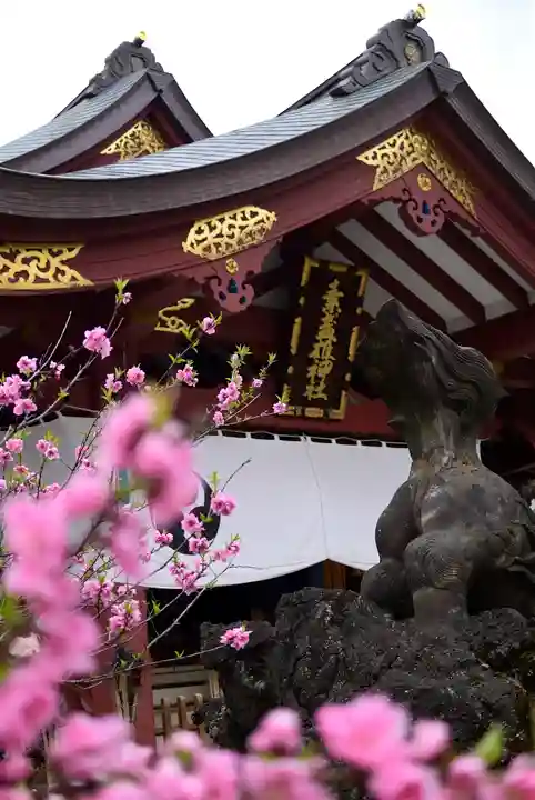 素盞雄神社のその他建物