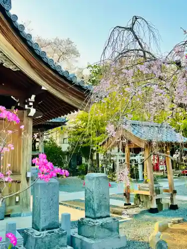日限地蔵尊 観音院(群馬県)
