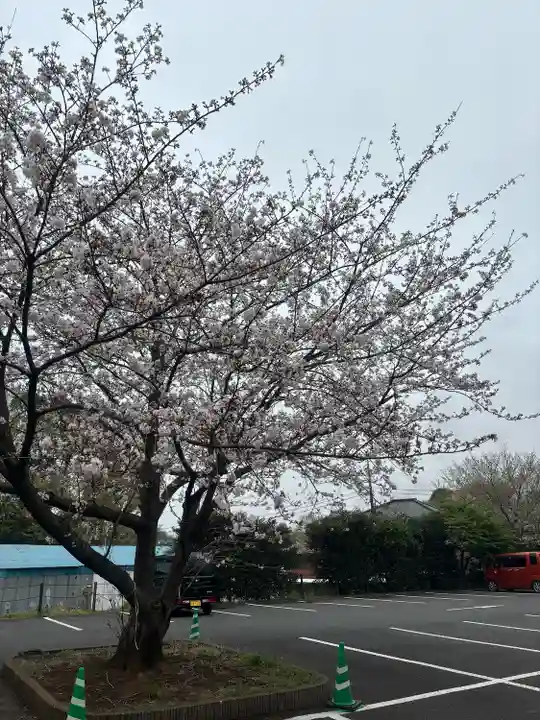 廣幡八幡宮(千葉県)