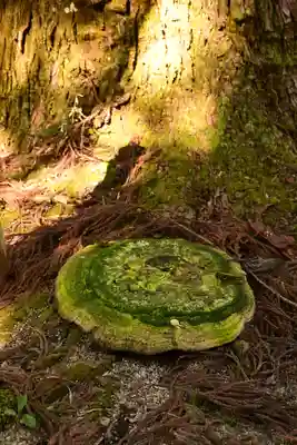 三社神社(愛媛県)