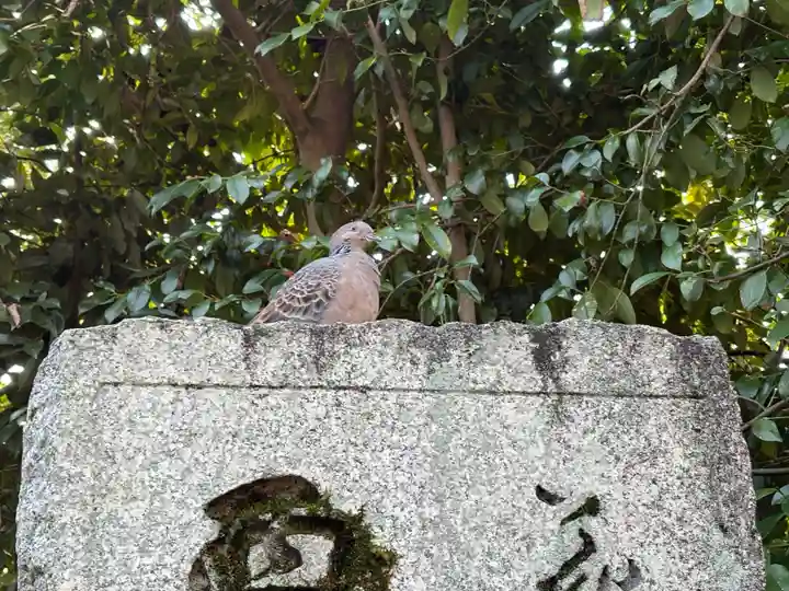 金福寺(京都府)