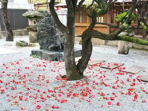 警固神社の自然
