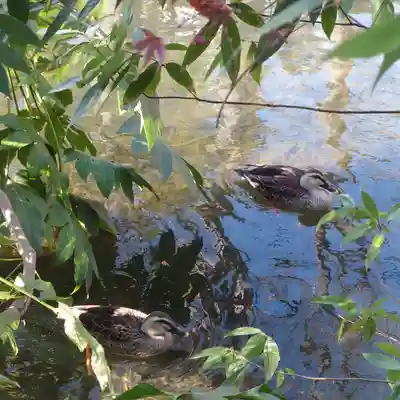廣瀬神社(埼玉県)