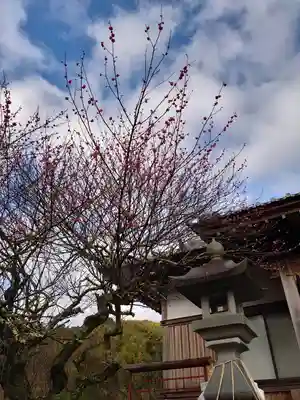 寺島神社(静岡県)