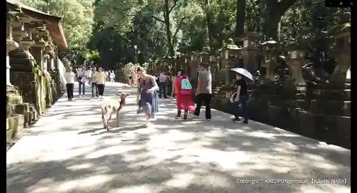 春日大社のその他建物