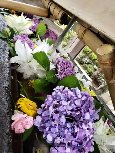 鳩森八幡神社の手水舎