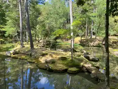 西芳寺(京都府)