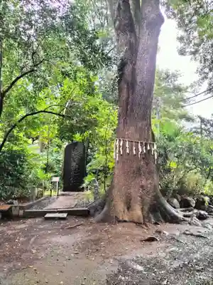 代々木八幡宮(東京都)
