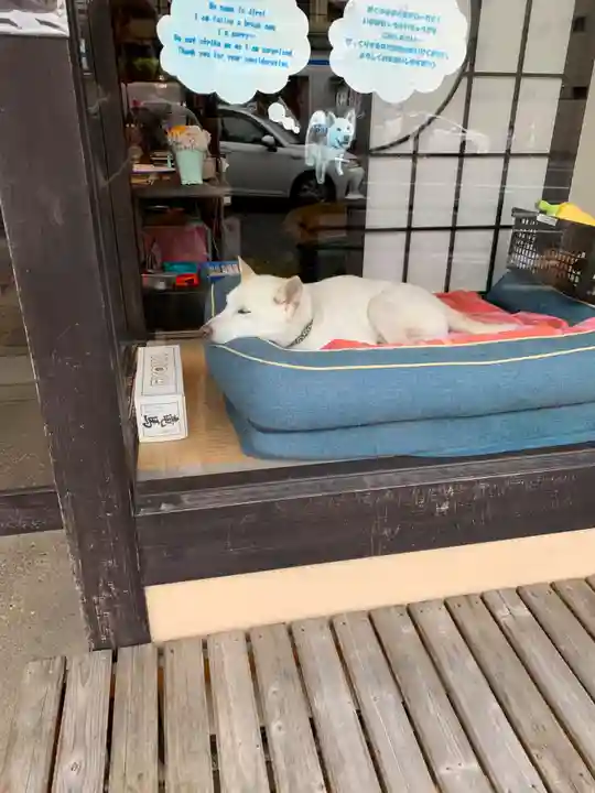 青蓮院門跡(京都府)