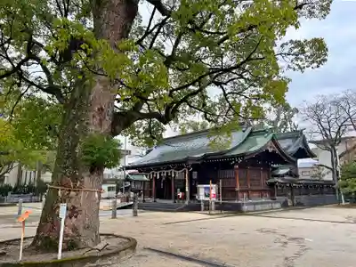 佐賀縣護國神社(佐賀県)