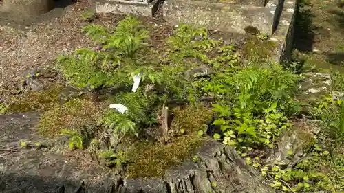 愛宕羽山両神社(山形県)