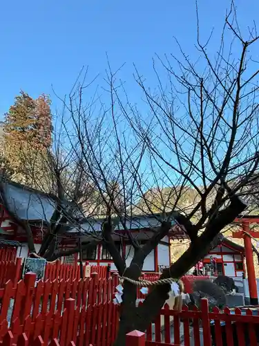 金櫻神社(山梨県)